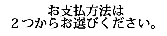 お支払は2つからお選びください。